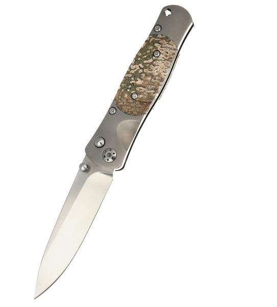 Tesoro Button Lock – VG-10 & Fossilized Dinosaur Bone