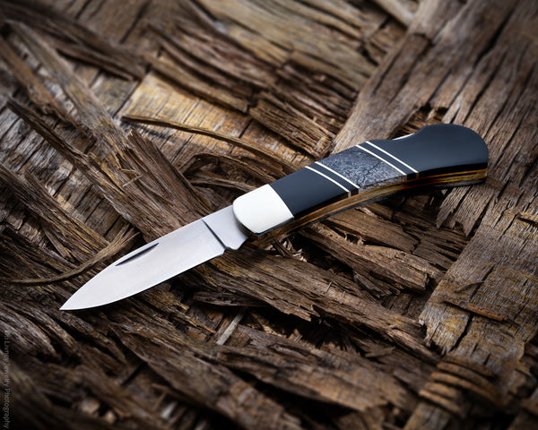 Dinosaur Jewelry Collection 3" Lockback Knife