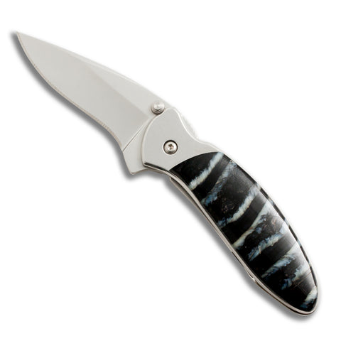 Fossilized Mammoth Tooth Collection - Kershaw Chive